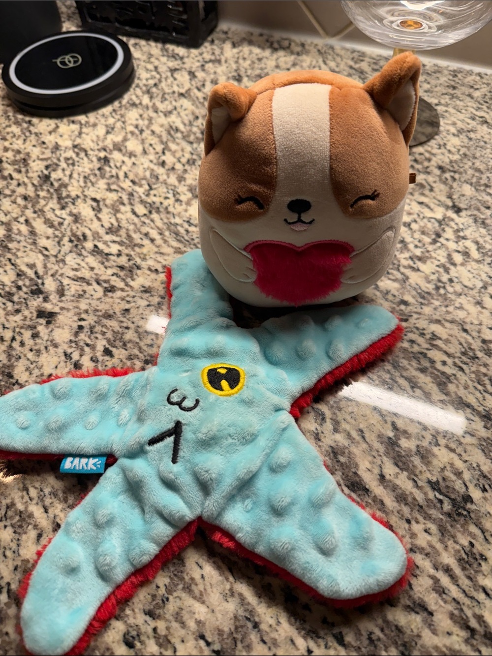 Bark Aqua Starfish Plush Dog Toy with Red Trim and Brown Squirrel Plush